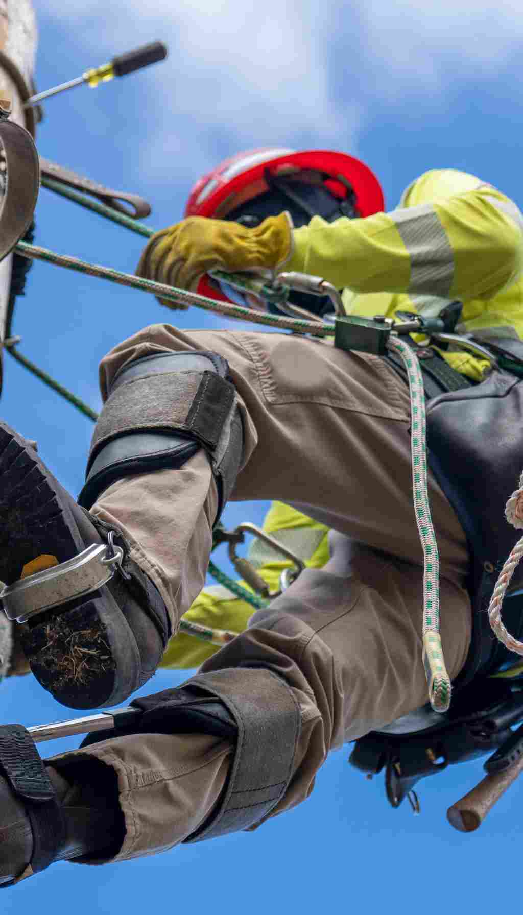 Worker in Safety Gear Climbing Utility Pole – Preparing for Stricter Asbestos Safety Standards Worker wearing helmet and safety harness climbing a utility pole, symbolizing workplace safety and asbestos regulation compliance.