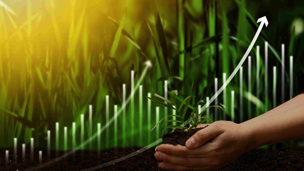 Hands holding soil with a small plant symbolising sustainable growth, ESG progress, and social responsibility in business