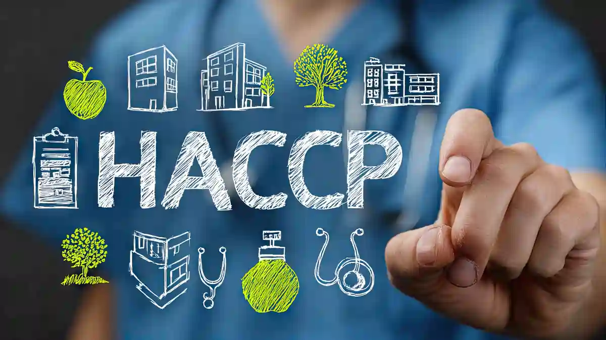 A person pointing toward the word “HACCP” surrounded by hand-drawn icons of food, buildings, trees, medical symbols, and a clipboard.