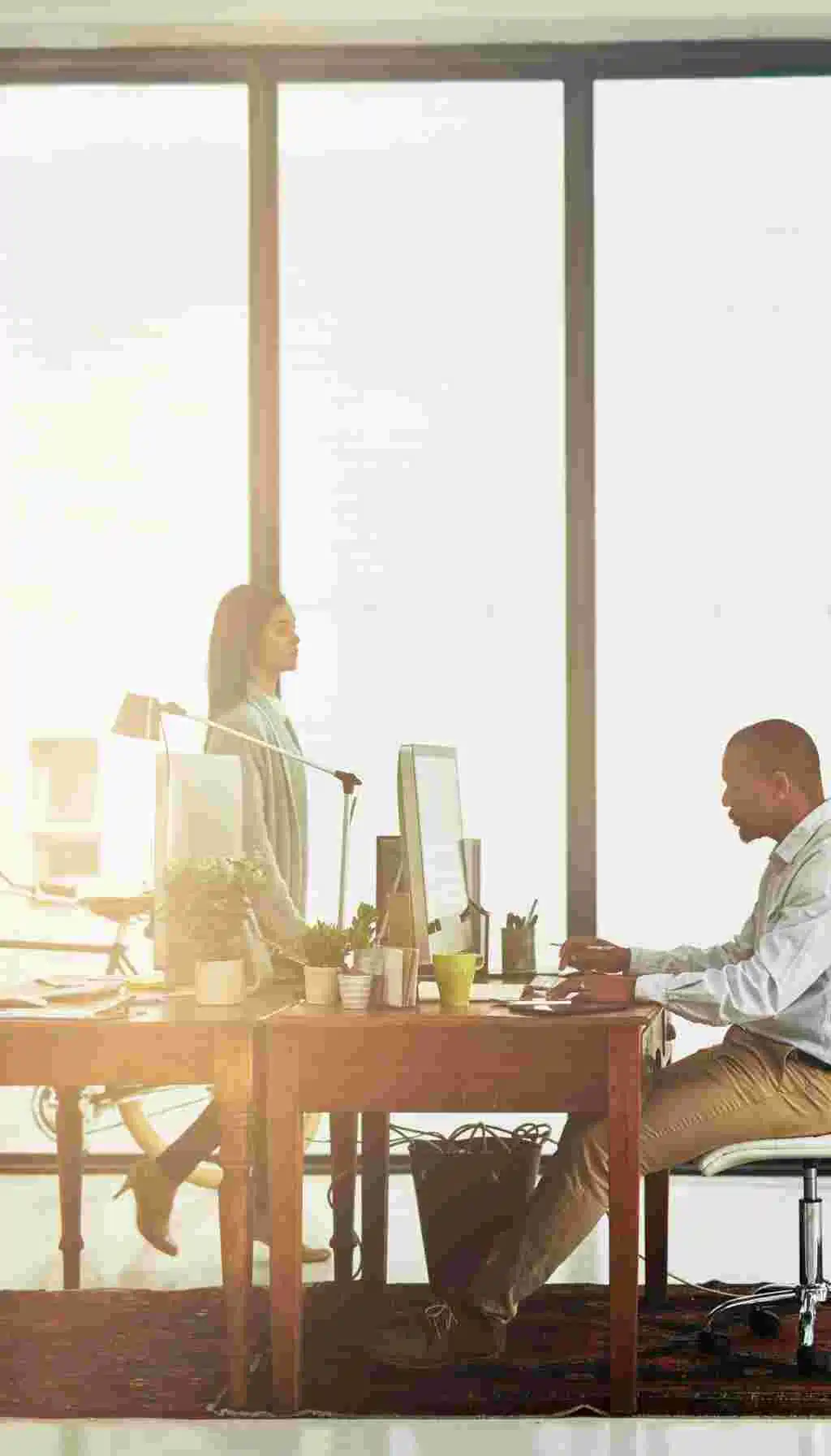 Two colleagues working in a bright modern office, one standing and one seated at a desk with computer equipment and plants.