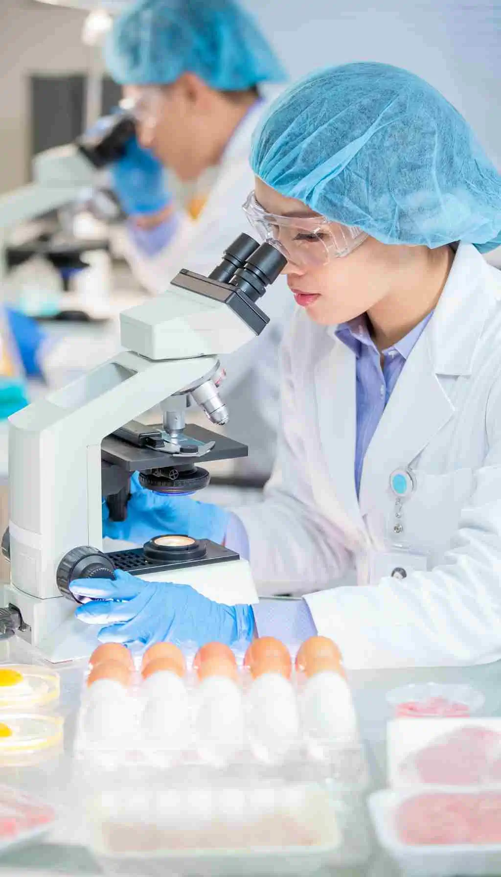 Laboratory technician examining food samples under a microscope as part of food safety testing