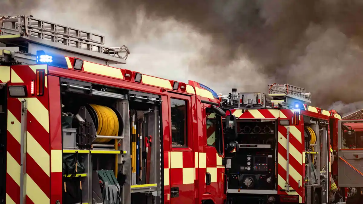 Horizontal blog images (66) Waiter serving a plated main course at a restaurant table during evening service