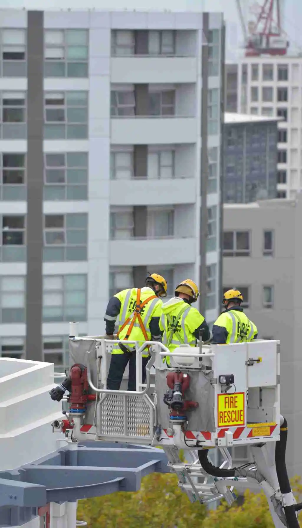 food waste Ireland (31) Food handlers preparing ready-to-eat salad in a commercial kitchen following HACCP hygiene controls