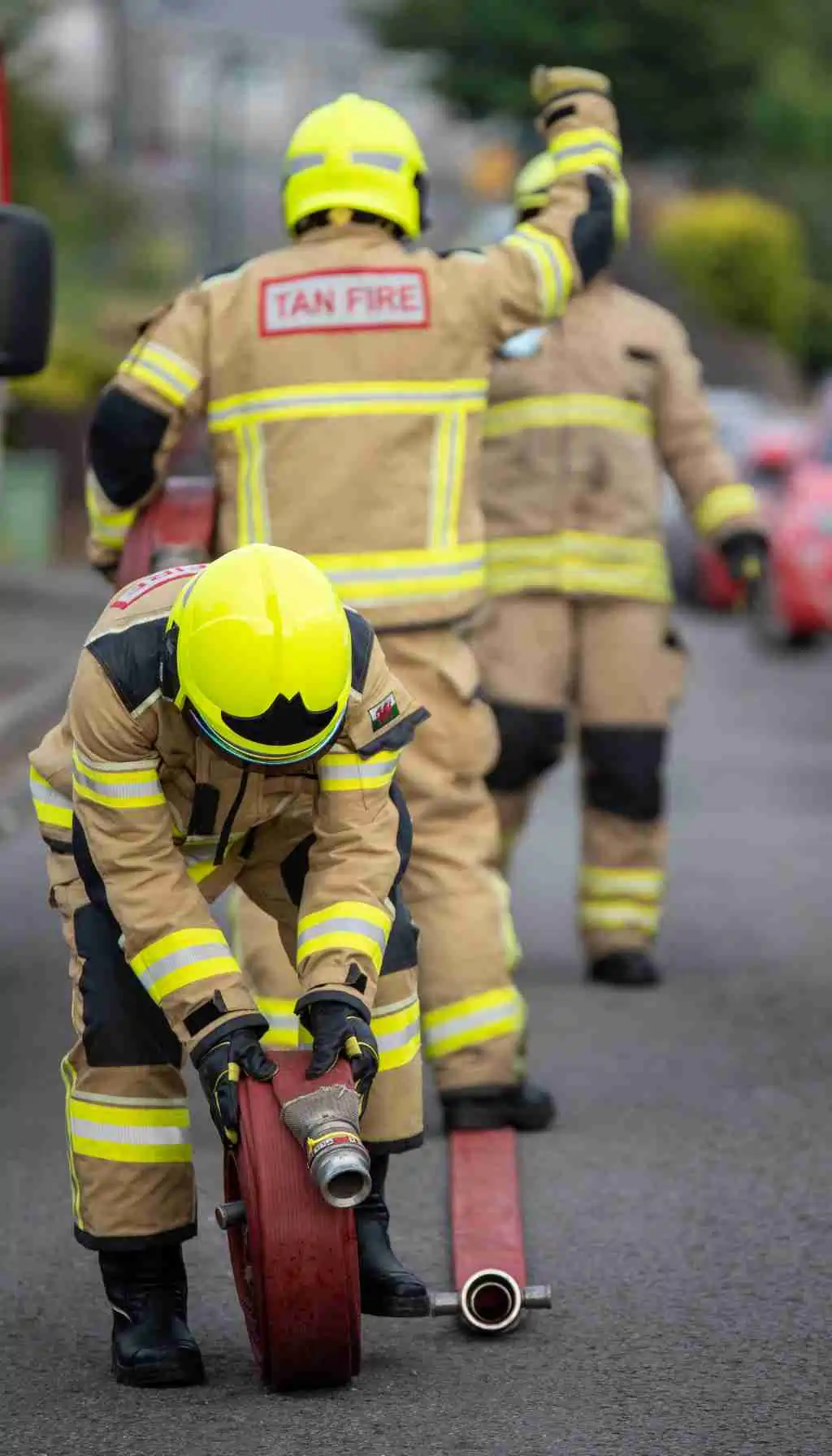 food waste Ireland (33) Chef plating a portion-controlled restaurant dish to minimise food waste and maintain food safety