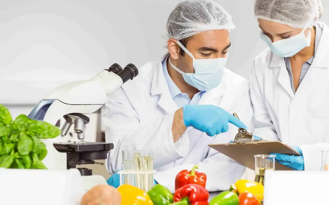 Who Needs HACCP Level 2 Training in Ireland?